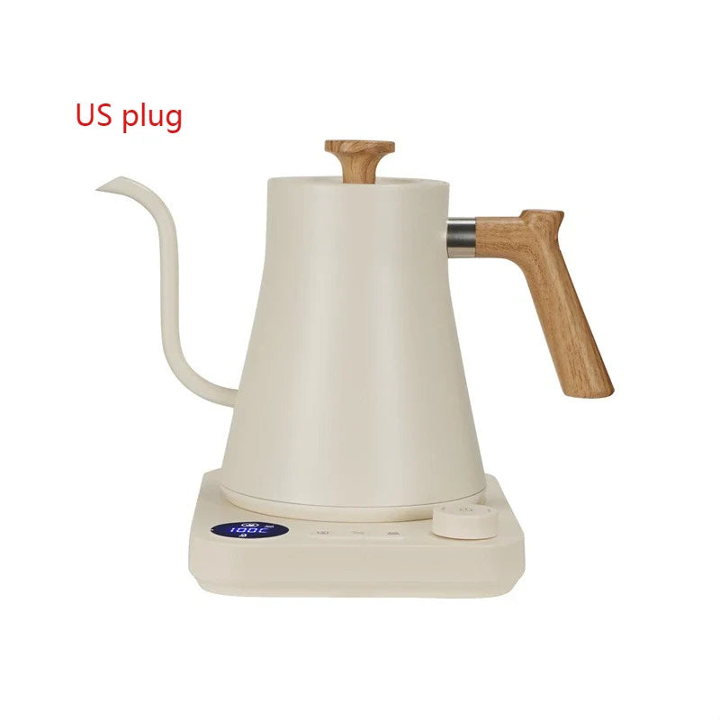 Electric Gooseneck Kettle
