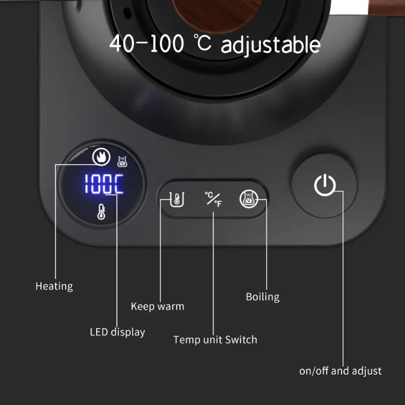 Electric Gooseneck Kettle